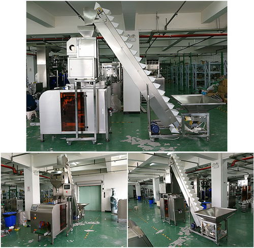 自動(dòng)化腰果包裝加工線(xiàn)設(shè)備 大型腰果自動(dòng)生產(chǎn)包裝機(jī)械