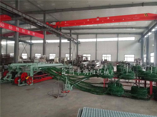 草坪六角網機廠家 草坪六角網 定州市明陽機械廠